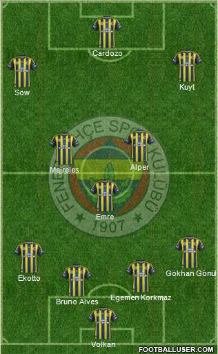 Fenerbahçe SK Formation 2013