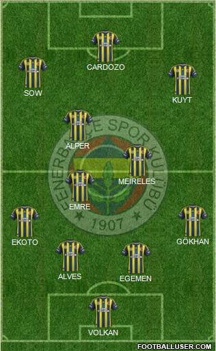 Fenerbahçe SK Formation 2013