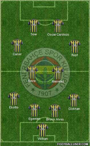 Fenerbahçe SK Formation 2013