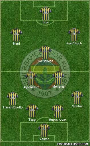 Fenerbahçe SK Formation 2013