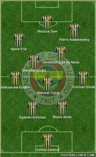 Fenerbahçe SK Formation 2013