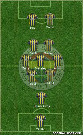 Fenerbahçe SK Formation 2013