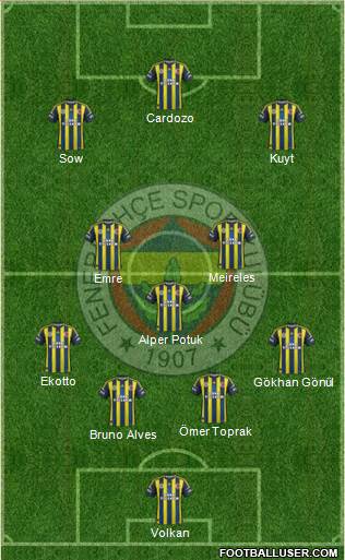 Fenerbahçe SK Formation 2013