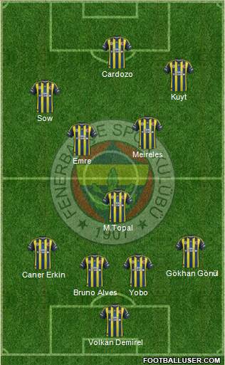 Fenerbahçe SK Formation 2013