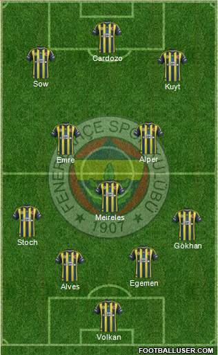 Fenerbahçe SK Formation 2013