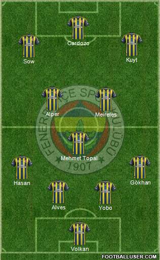 Fenerbahçe SK Formation 2013