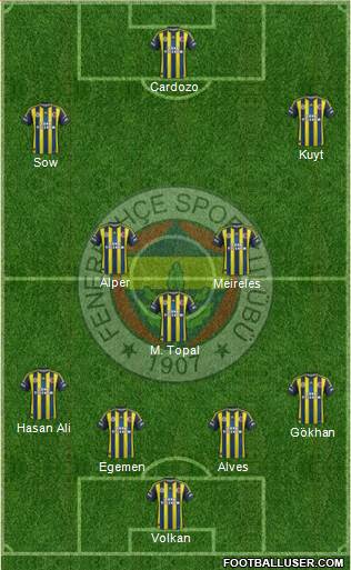 Fenerbahçe SK Formation 2013