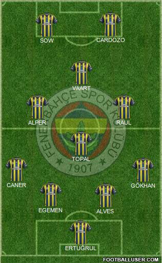 Fenerbahçe SK Formation 2013
