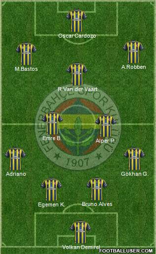 Fenerbahçe SK Formation 2013