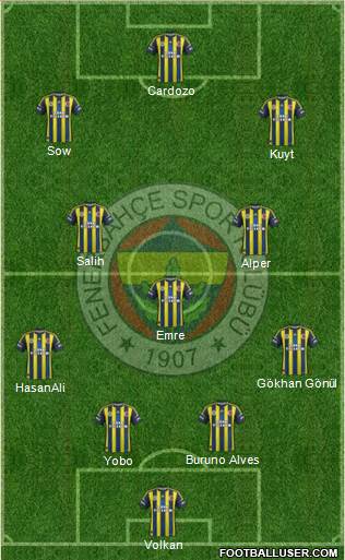 Fenerbahçe SK Formation 2013