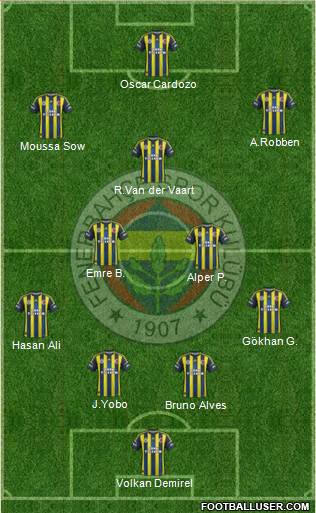 Fenerbahçe SK Formation 2013