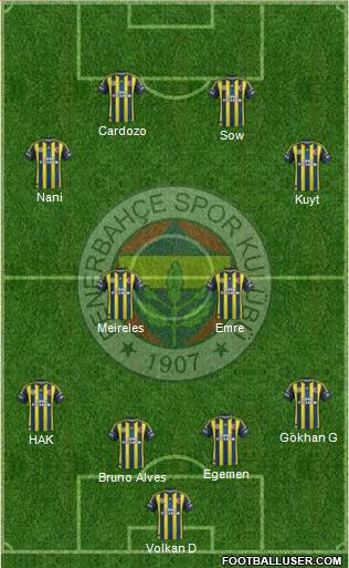 Fenerbahçe SK Formation 2013