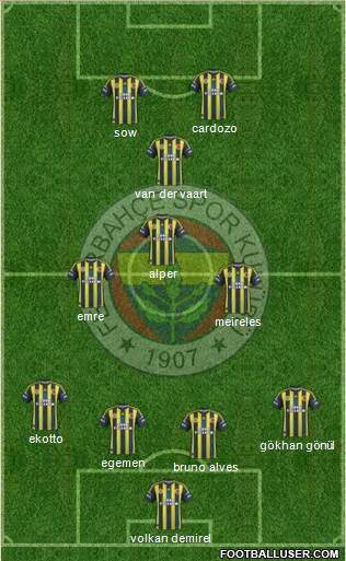 Fenerbahçe SK Formation 2013