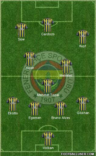 Fenerbahçe SK Formation 2013