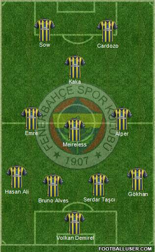 Fenerbahçe SK Formation 2013