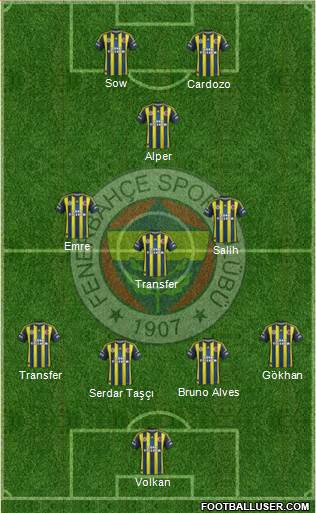 Fenerbahçe SK Formation 2013