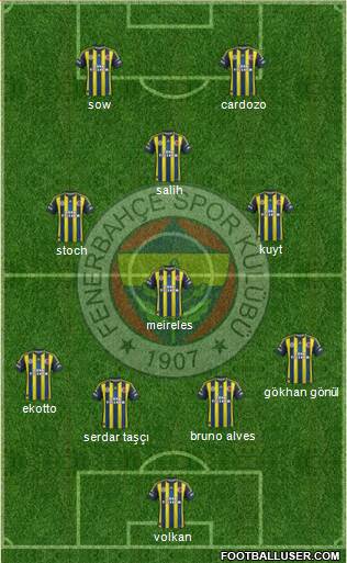 Fenerbahçe SK Formation 2013