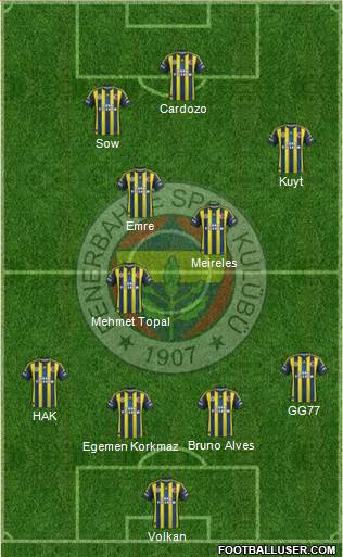 Fenerbahçe SK Formation 2013