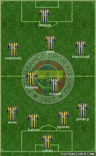 Fenerbahçe SK Formation 2013