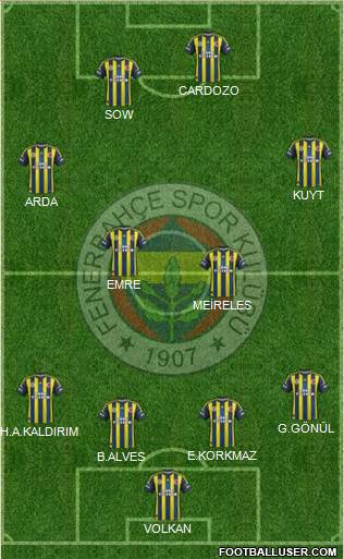 Fenerbahçe SK Formation 2013