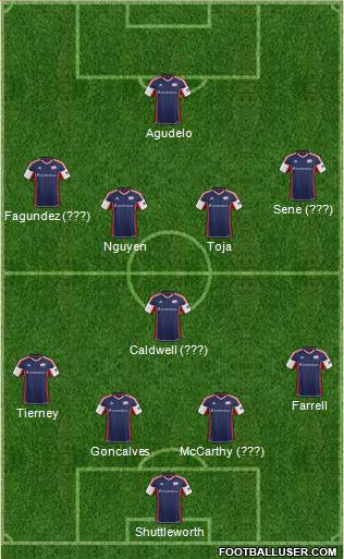 New England Revolution Formation 2013