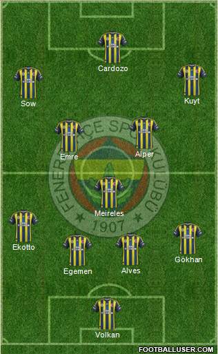 Fenerbahçe SK Formation 2013