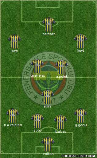Fenerbahçe SK Formation 2013