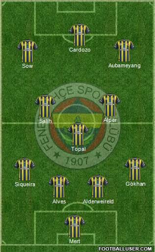 Fenerbahçe SK Formation 2013
