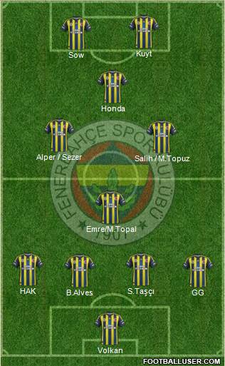 Fenerbahçe SK Formation 2013