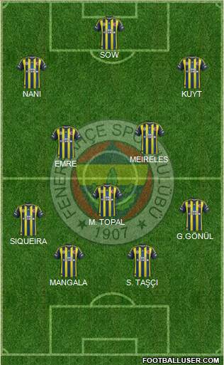 Fenerbahçe SK Formation 2013
