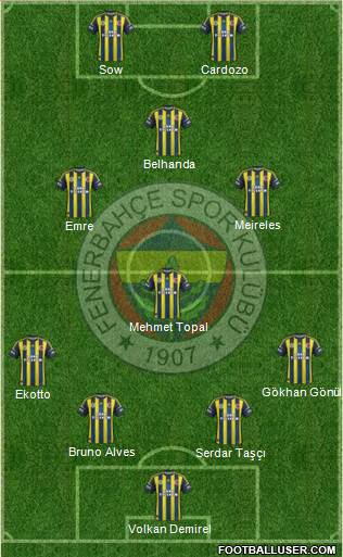 Fenerbahçe SK Formation 2013