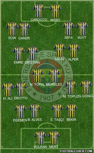 Fenerbahçe SK Formation 2013