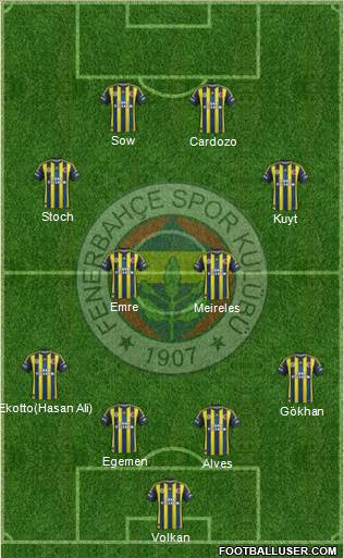 Fenerbahçe SK Formation 2013