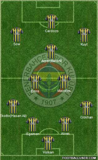 Fenerbahçe SK Formation 2013