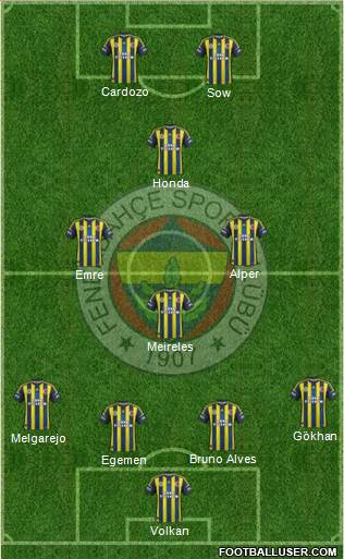 Fenerbahçe SK Formation 2013