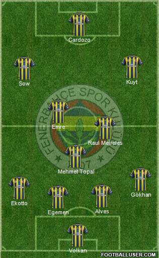 Fenerbahçe SK Formation 2013