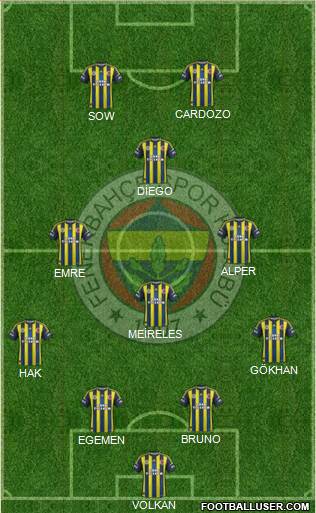 Fenerbahçe SK Formation 2013