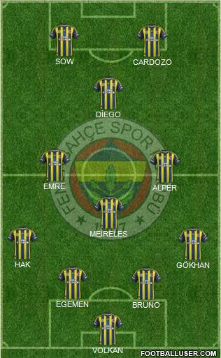 Fenerbahçe SK Formation 2013