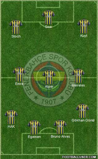 Fenerbahçe SK Formation 2013