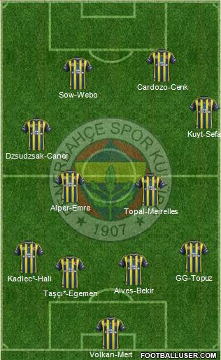 Fenerbahçe SK Formation 2013