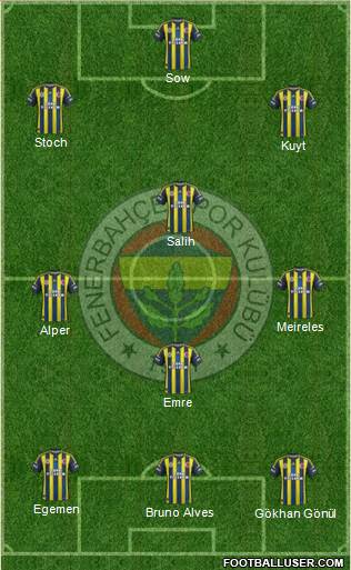 Fenerbahçe SK Formation 2013