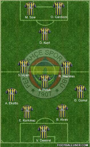 Fenerbahçe SK Formation 2013