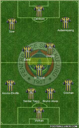 Fenerbahçe SK Formation 2013