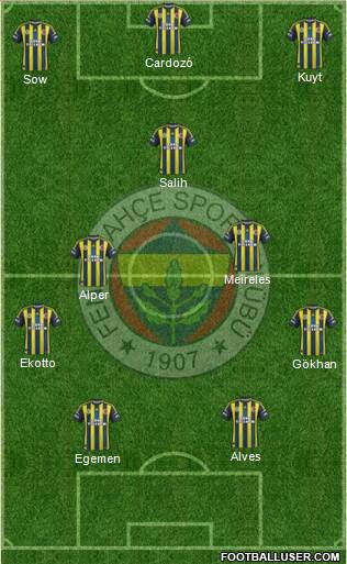Fenerbahçe SK Formation 2013