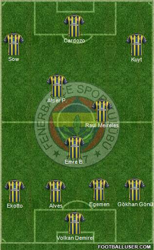 Fenerbahçe SK Formation 2013