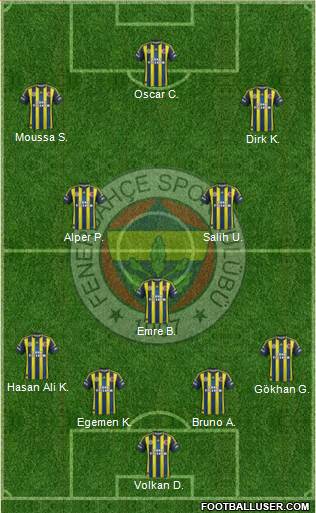 Fenerbahçe SK Formation 2013