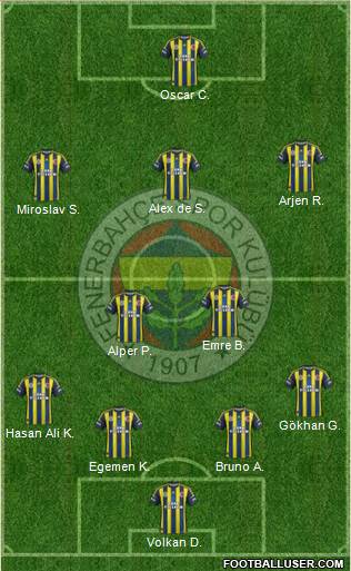 Fenerbahçe SK Formation 2013