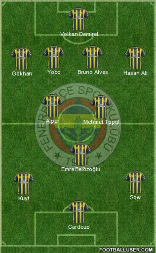 Fenerbahçe SK Formation 2013