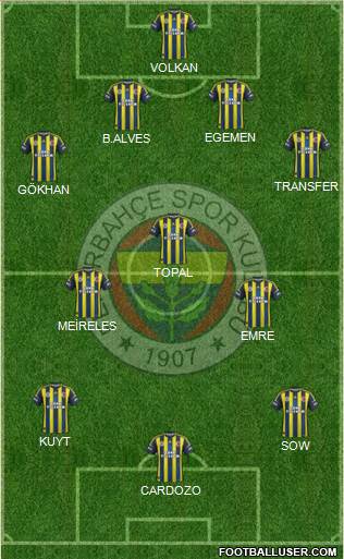 Fenerbahçe SK Formation 2013