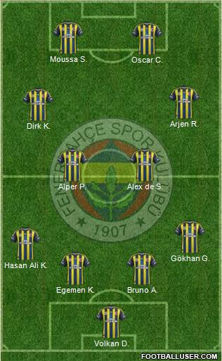 Fenerbahçe SK Formation 2013